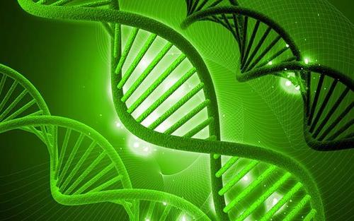 初中生物学科工作室